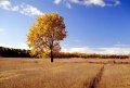 Jesien-Autumn-Krajobraz-1