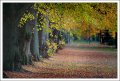 Krajobraz_jesienny